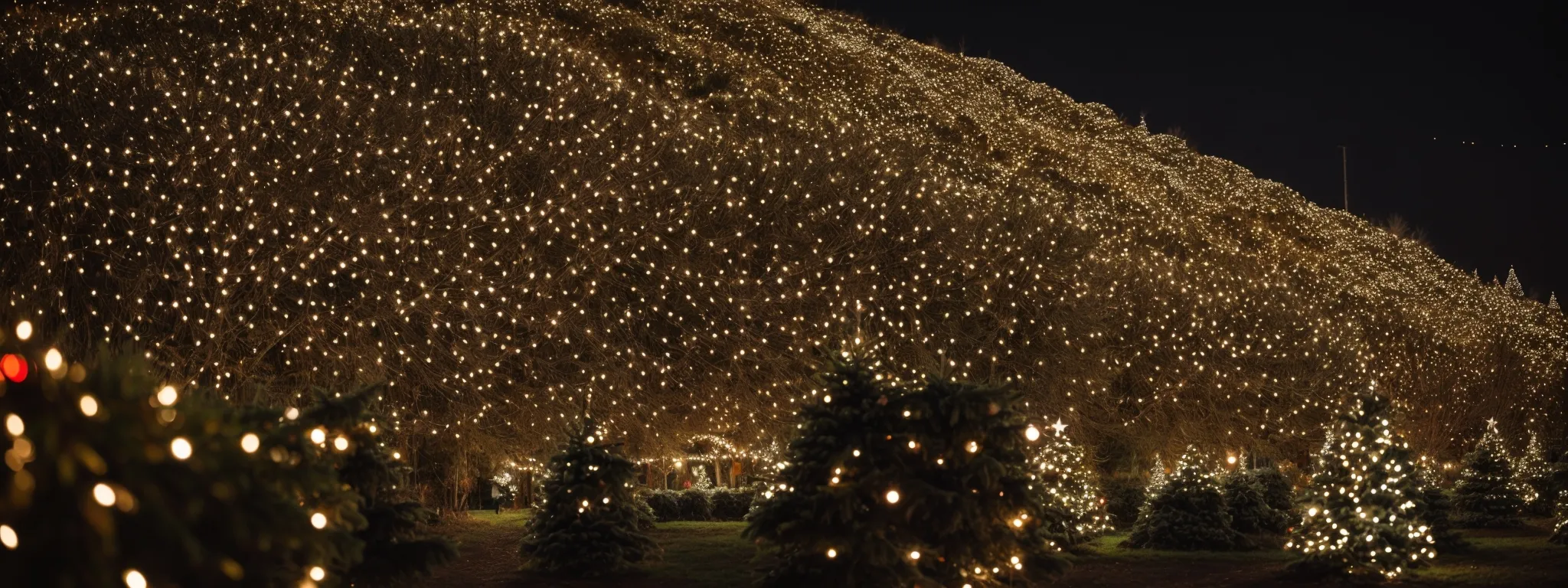 a bustling christmas tree farm adorned with twinkling fairy lights and festive decorations captures the holiday spirit for social media sharing.