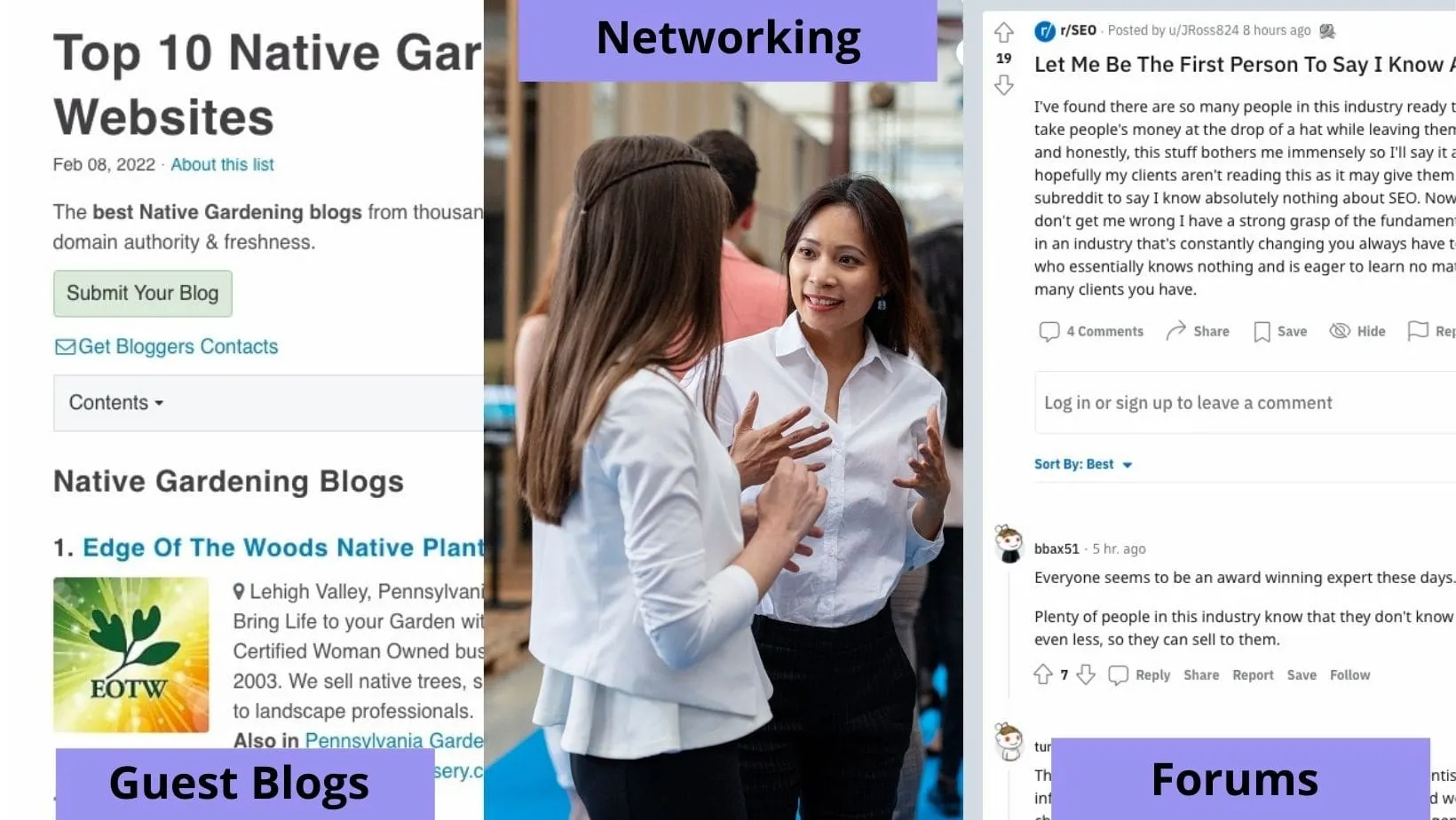 Visual showing guest blogs, networking, and forums as off-page SEO strategies
