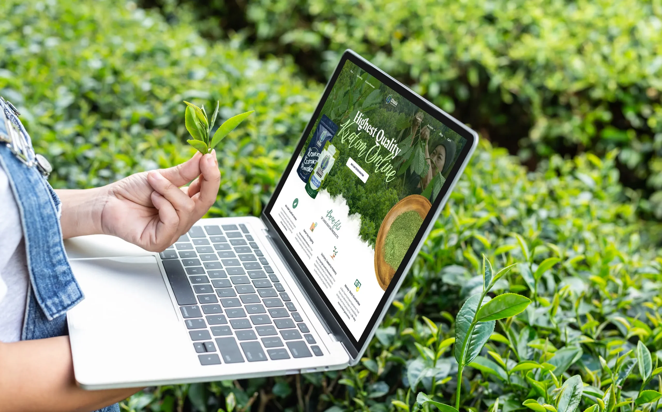 A person holds a tea leaf above a laptop displaying a tea-related website, with green tea plants visible in the background.